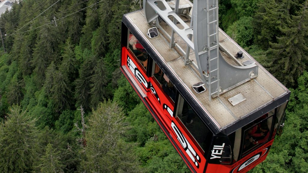 Juneau menunjukkan hutan, pemandangan dan gondola