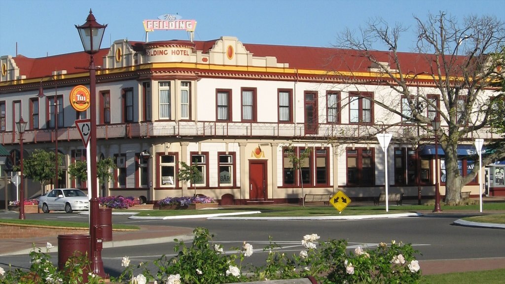 Manawatu - Wanganui featuring a city, heritage architecture and street scenes