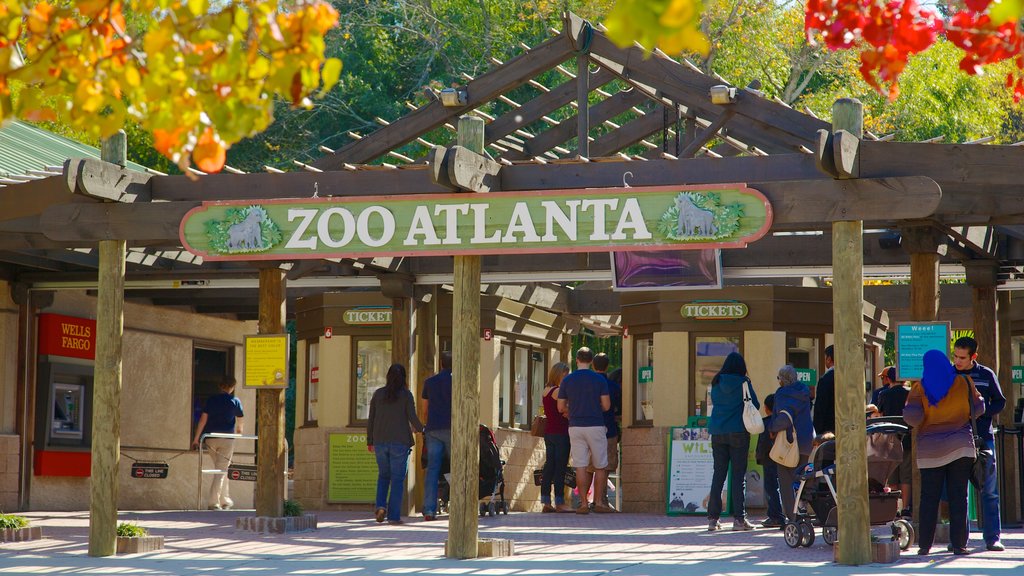 Zoo Atlanta showing zoo animals and signage as well as a large group of people