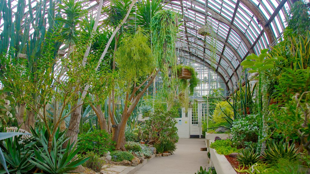 Garfield Park Conservatory which includes a park and interior views