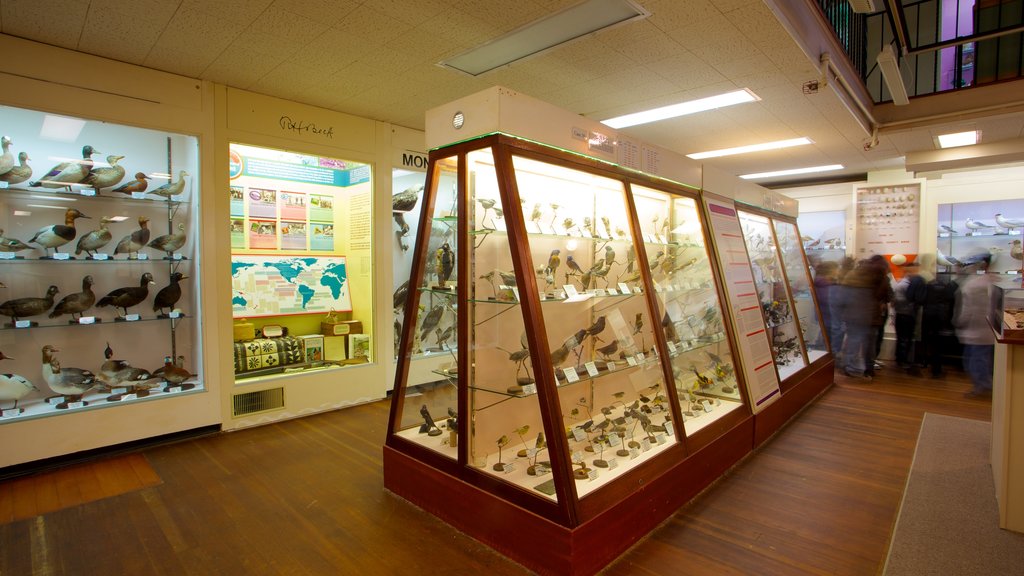 Pacific Grove Museum of Natural History showing interior views as well as a large group of people