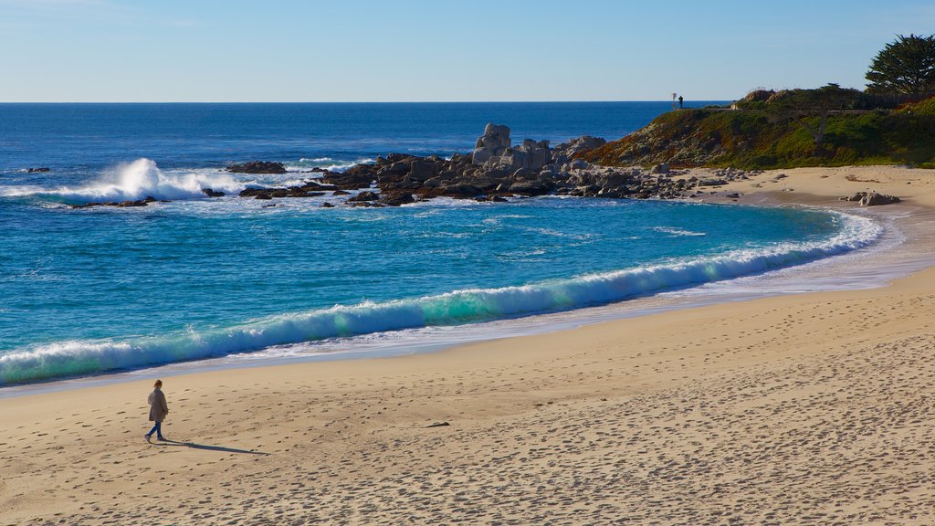 Carmel Beach which includes a sandy beach and landscape views as well as an individual female