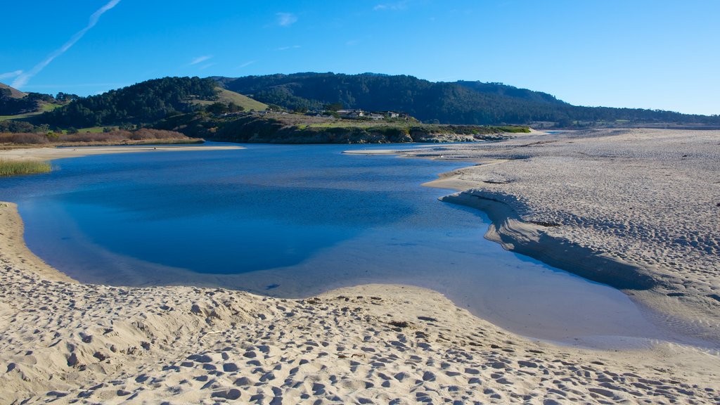 Carmel Beach which includes a beach, landscape views and tropical scenes