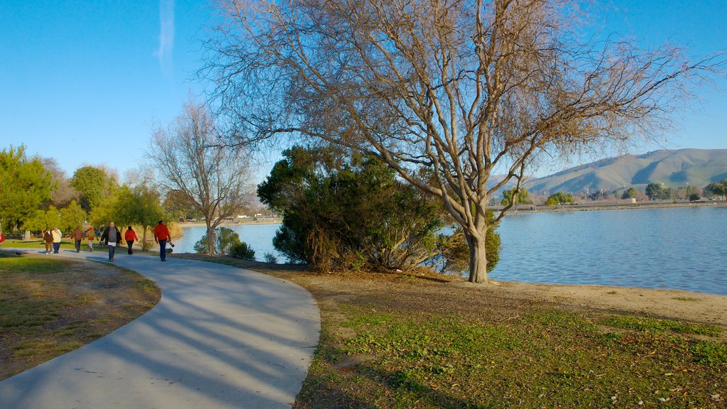 Fremont Central Park which includes hiking or walking, a lake or waterhole and a park