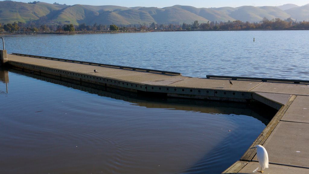 Fremont Central Park which includes landscape views, a park and a lake or waterhole