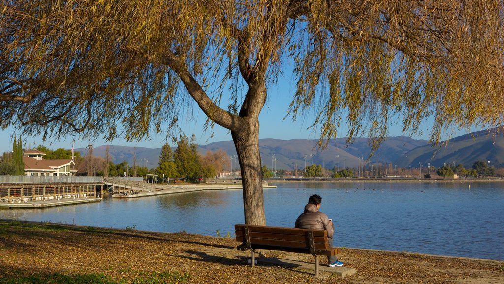 Parque Fremont Central mostrando vistas de paisajes, un jardín y un lago o abrevadero