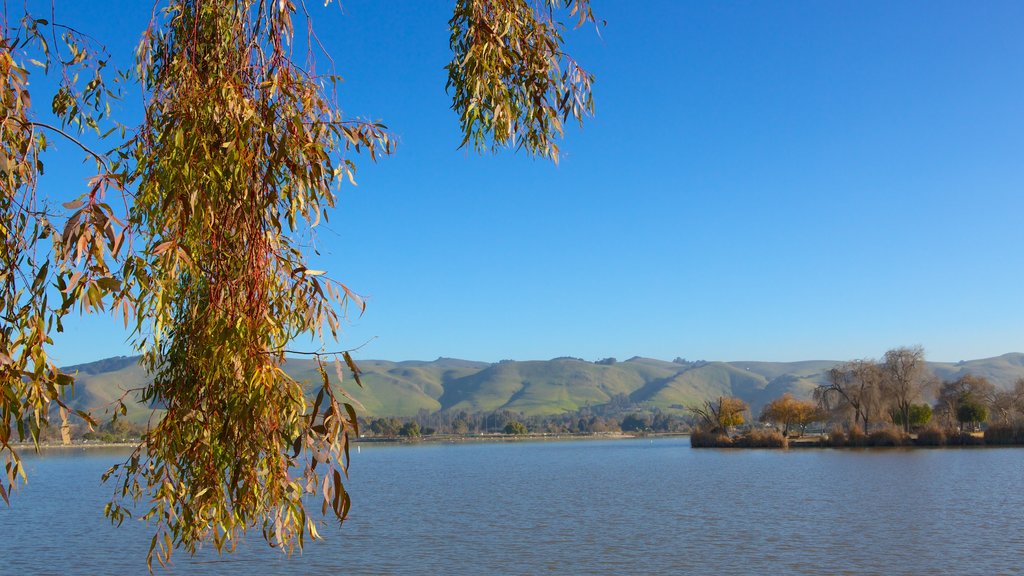 Parque Fremont Central que incluye escenas tranquilas, bosques y hojas de otoño