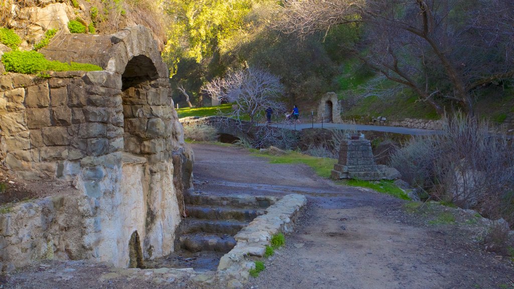 Parque Alum Rock mostrando vistas de paisajes, ruinas de edificios y un parque