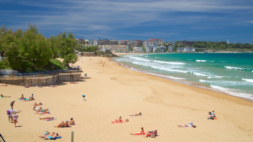 Playa El Sardinero mostrando una playa, vistas generales de la costa y una ciudad costera