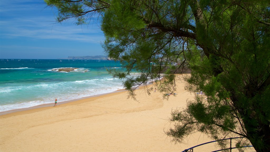 El Sardinero Beach showing a beach and general coastal views