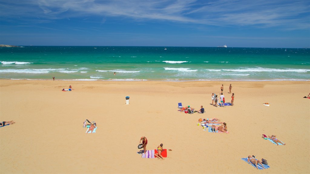 Strand van El Sardinero toont een strand en algemene kustgezichten en ook een klein groepje mensen