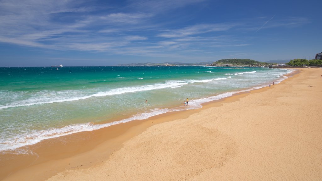 El Sardinero Beach showing general coastal views and a beach