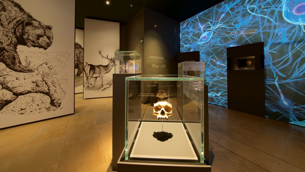 Museum of Prehistory and Archaeology of Cantabria showing interior views