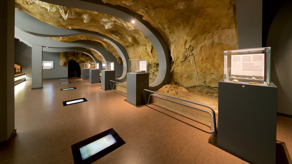 Museum of Prehistory and Archaeology of Cantabria featuring interior views