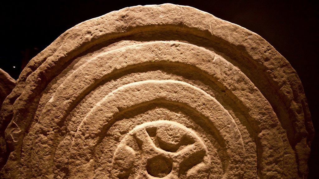 Museum of Prehistory and Archaeology of Cantabria showing interior views