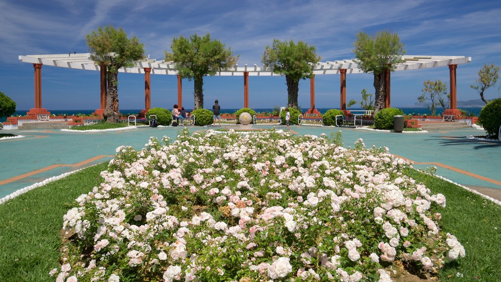 Jardines de Piquío mostrando flores e um jardim