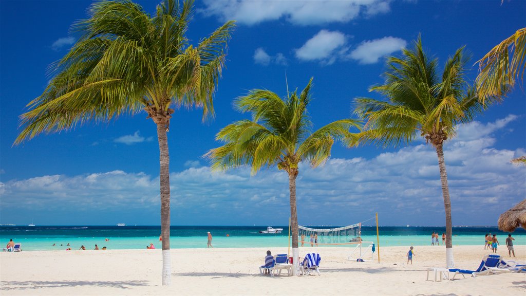 Cancun showing tropical scenes, a sandy beach and general coastal views