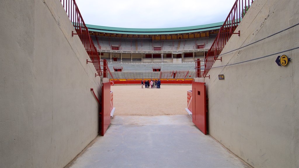 Plaza de toros Monumental de Pamplona assim como um pequeno grupo de pessoas