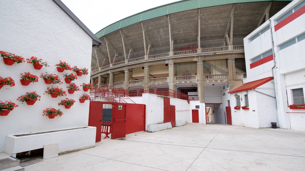 Plaza de Toros de Pamplona which includes flowers