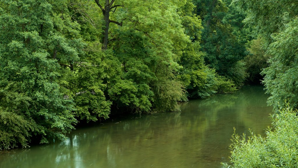 Park an der Ilm toont een rivier of beek