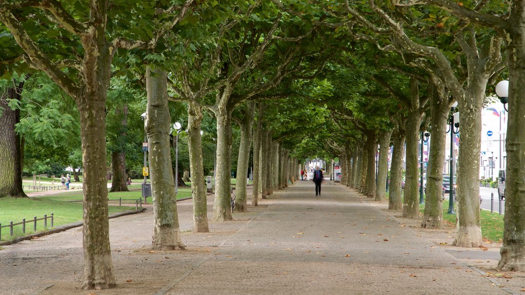 Eltville am Rhein showing a park