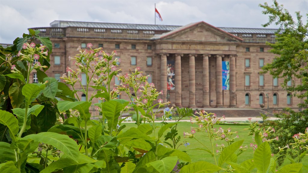 Schloss Wilhelmshoehe que incluye flores silvestres, un parque y arquitectura patrimonial