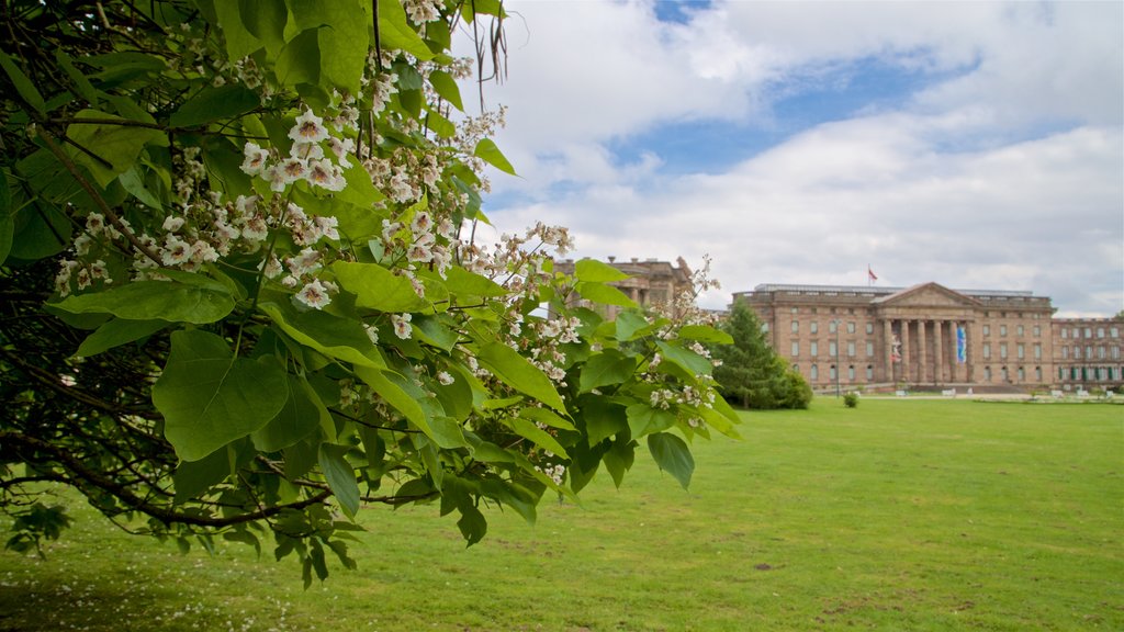 Schloss Wilhelmshoehe ofreciendo patrimonio de arquitectura, un parque y flores silvestres