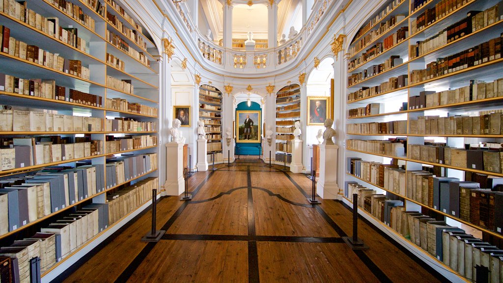 Biblioteca Duquesa Anna Amalia que inclui arte, elementos de patrimônio e vistas internas