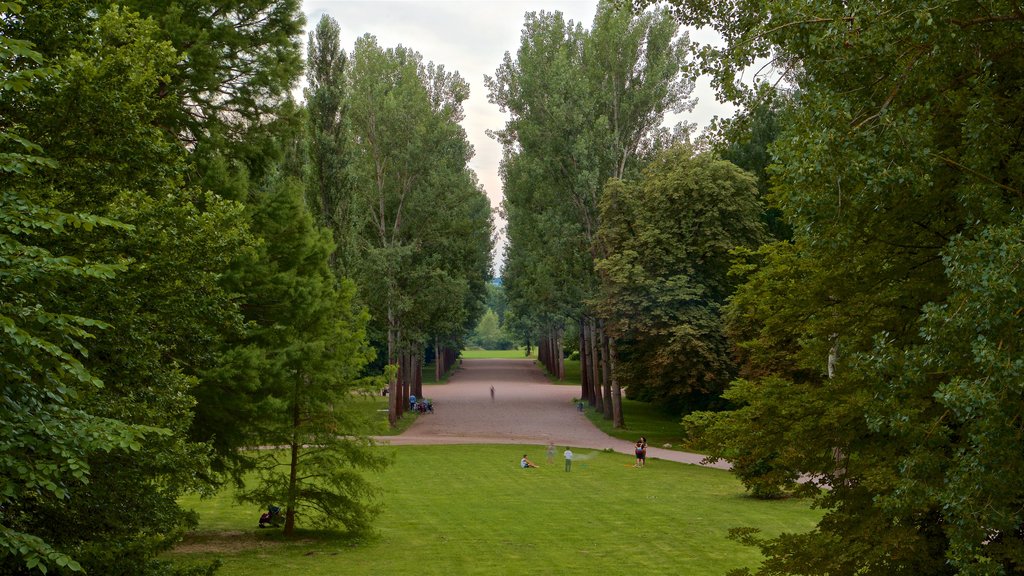 Park an der Ilm ofreciendo jardín