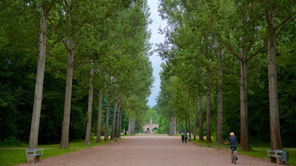 Park an der Ilm showing a garden