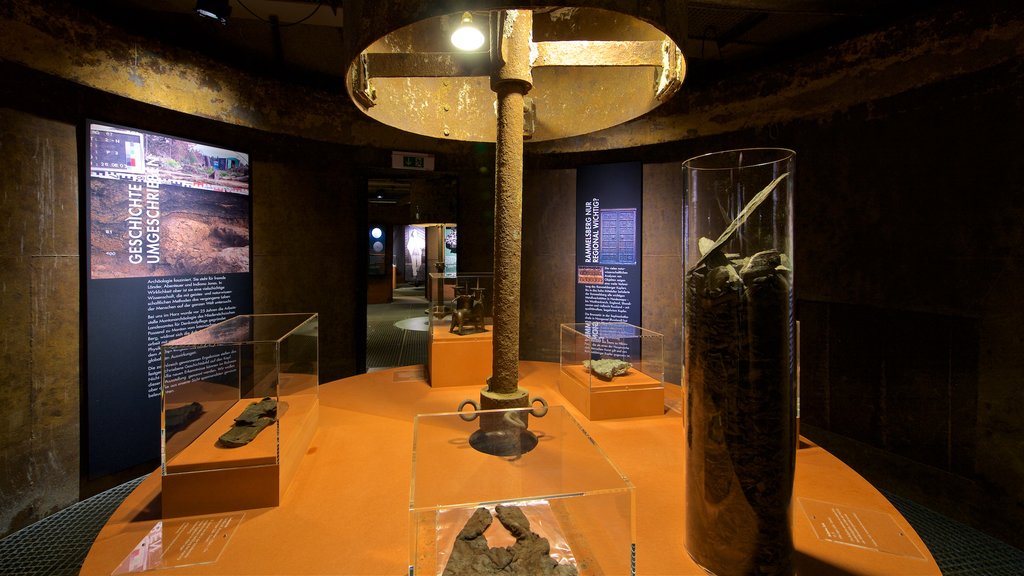 Rammelsberg Mine and Mining Museum featuring interior views