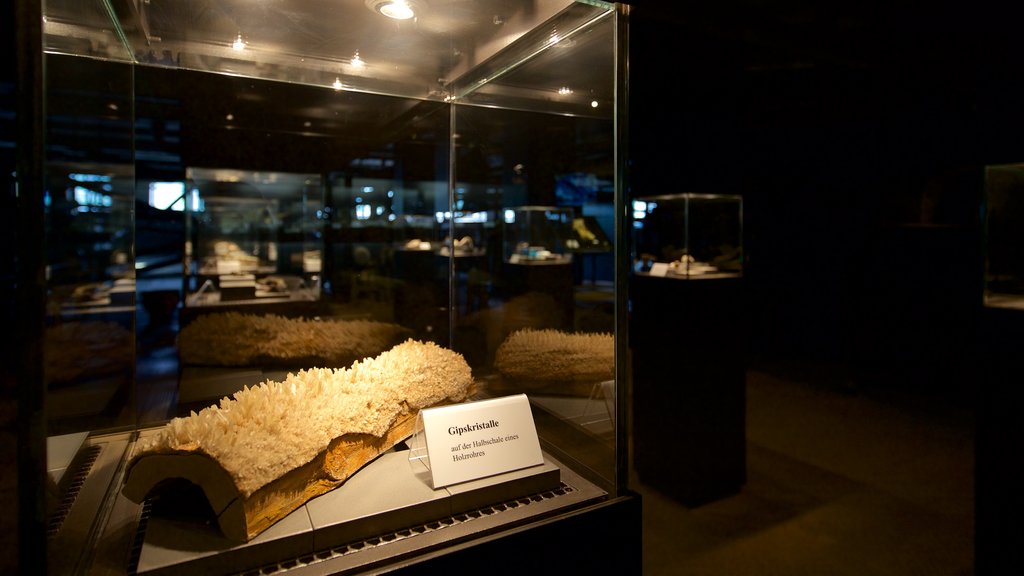 Rammelsberg Mine and Mining Museum showing interior views