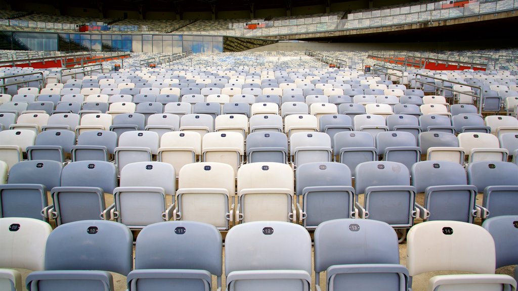 Mineirao Stadium