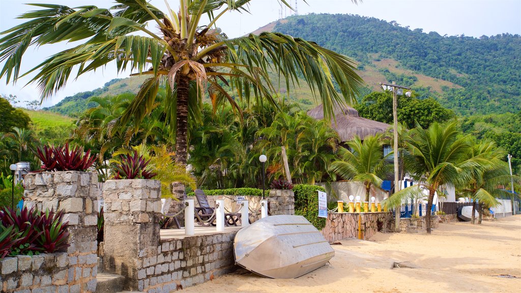 Praia da Biscaia que inclui uma praia, paisagens litorâneas e cenas tropicais