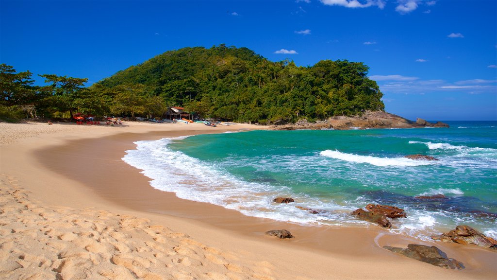 Playa del Meio que incluye vistas generales de la costa y una playa