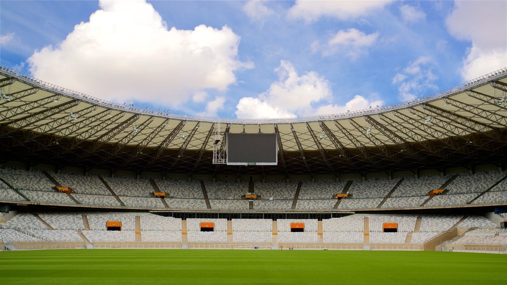 สนามกีฬา Mineirao