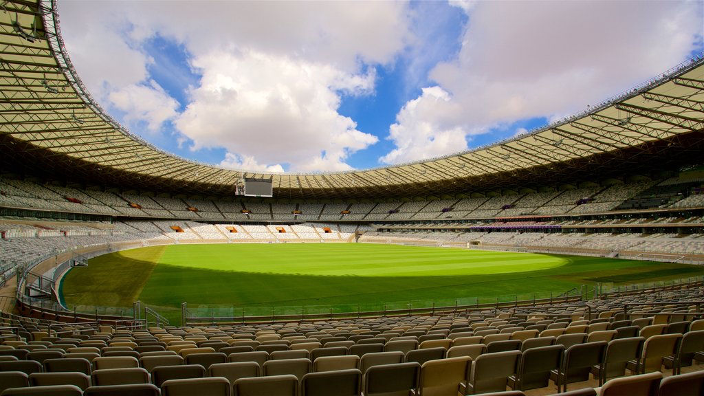 สนามกีฬา Mineirao