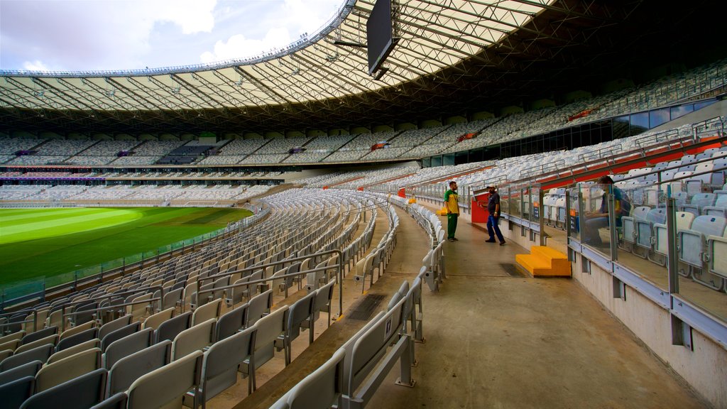 สนามกีฬา Mineirao