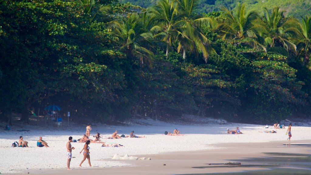 Playa de Lopes Mendes ofreciendo una playa, escenas tropicales y vista general a la costa