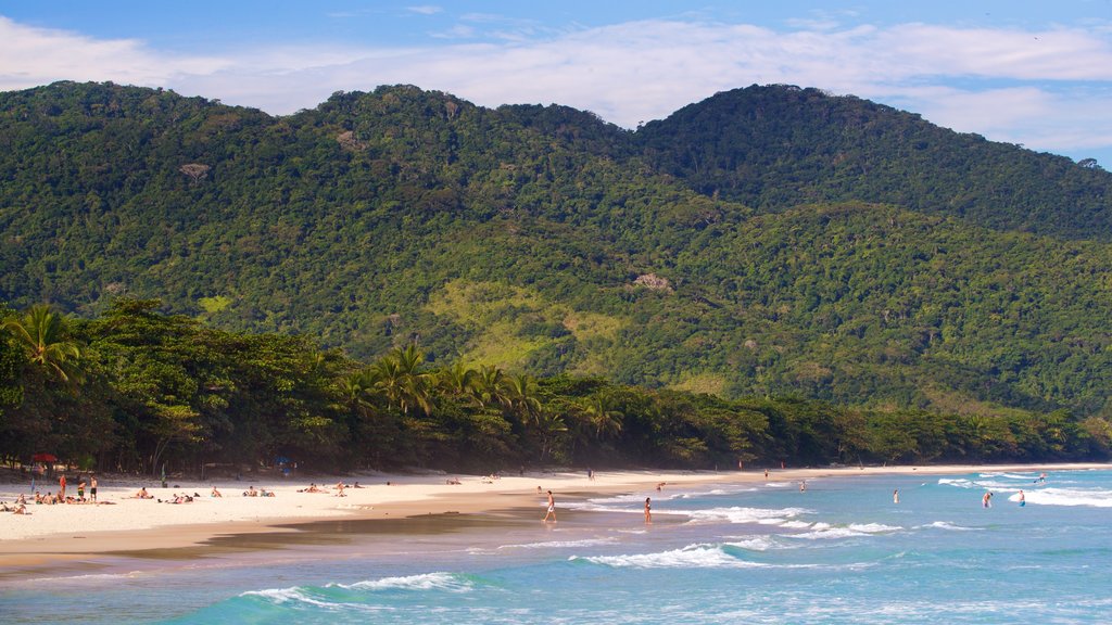 Playa de Lopes Mendes que incluye una playa, escenas tropicales y vista general a la costa