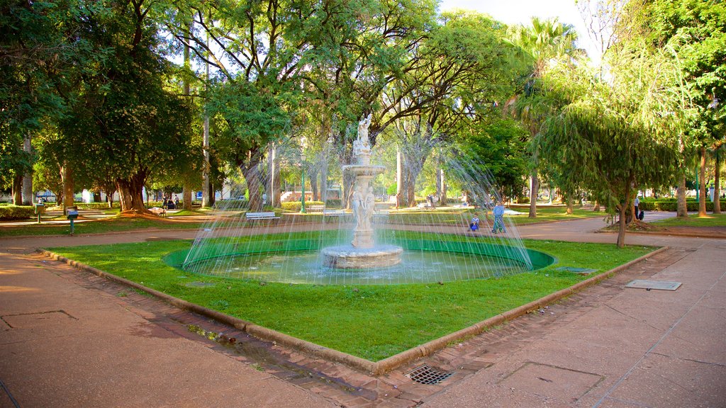 Liberty Square featuring a fountain and a park