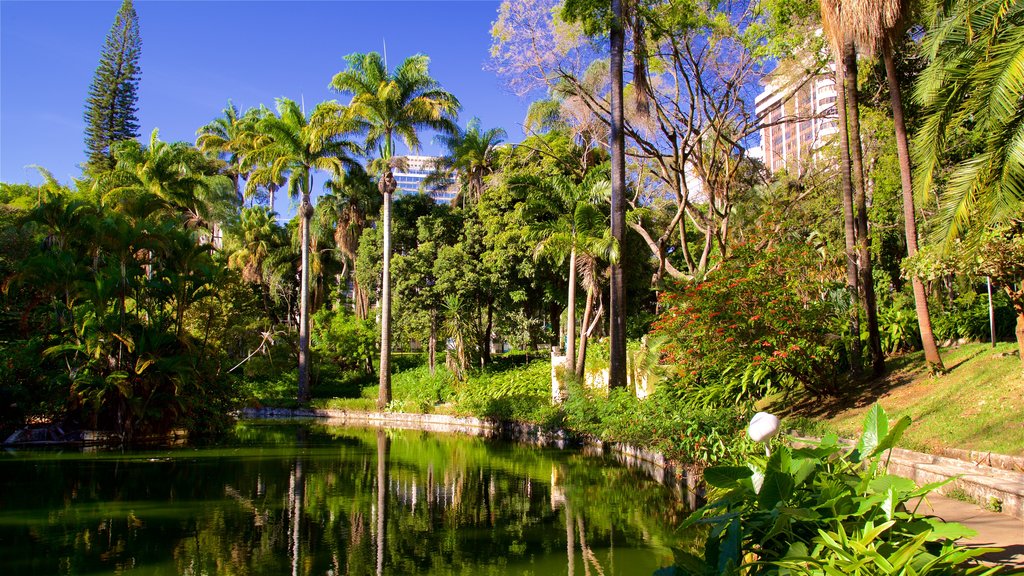 Parque municipal Americo Renne Giannetti que incluye un estanque y un jardín