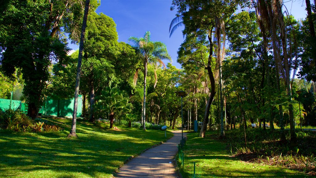 Americo Renne Giannetti Municipal Park showing a garden