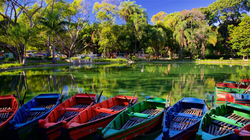 Americo Renne Giannetti Municipal Park featuring a pond and a garden