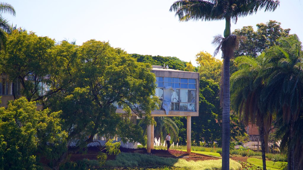 Pampulha Art Museum showing a park