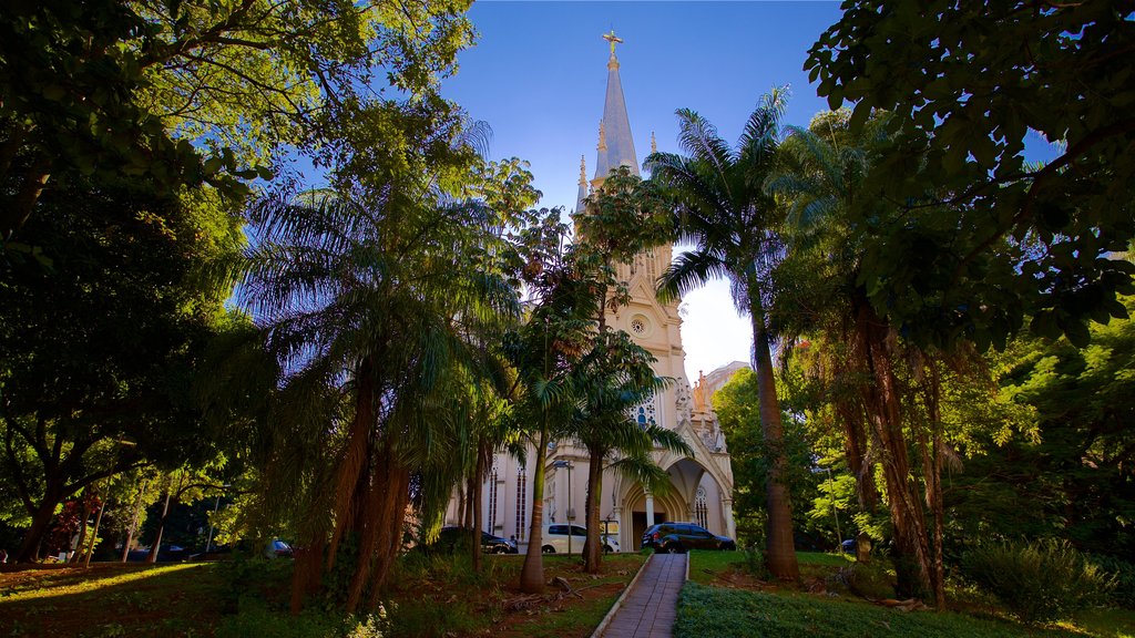 Boa Viagem Cathedral showing a park and a church or cathedral