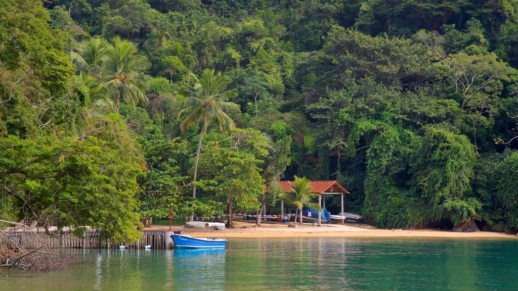 Playa de Abraãozinho que incluye una playa, escenas tropicales y vista general a la costa