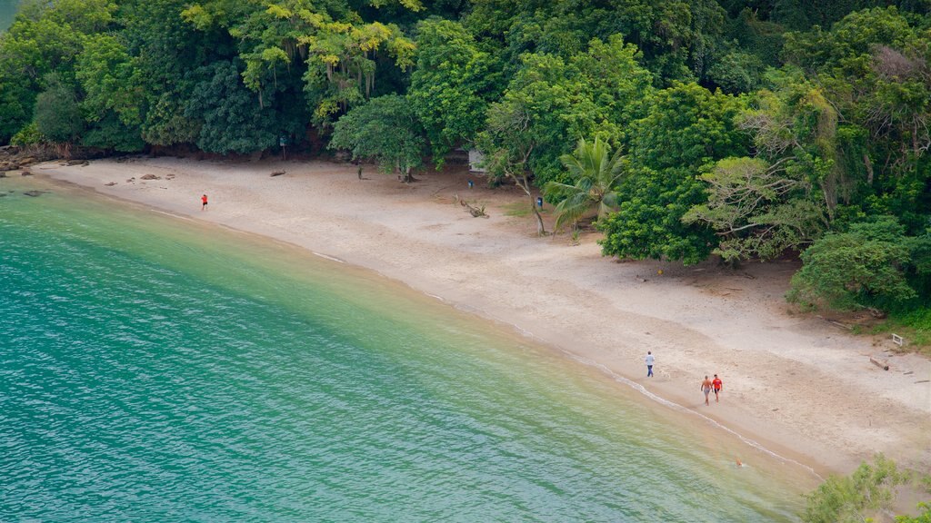 Camorim Beach which includes a sandy beach, tropical scenes and general coastal views