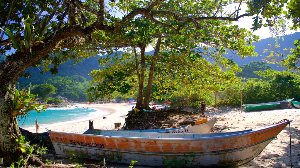 Meio Beach which includes a sandy beach, general coastal views and tropical scenes