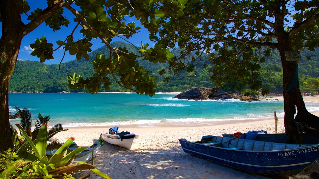 Praia do Meio mostrando cenas tropicais, paisagens litorâneas e uma praia de areia